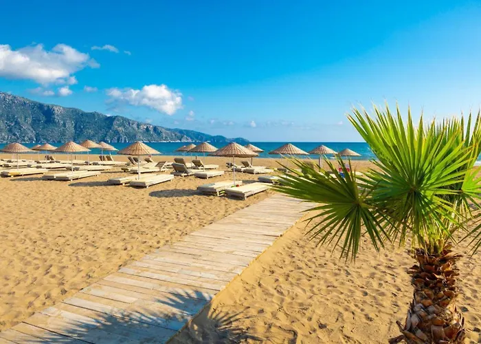 Villa Elmas Paradise