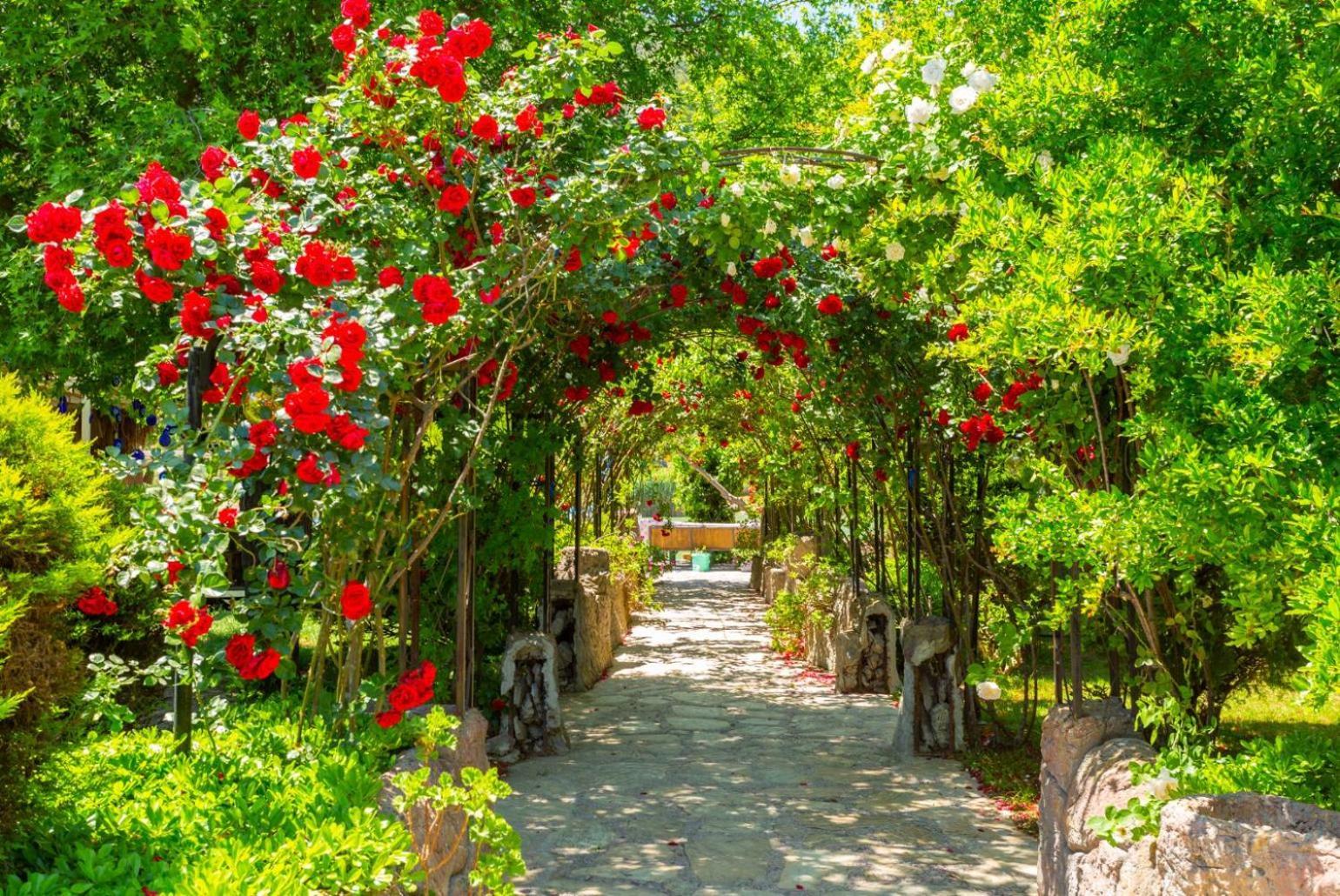 Villa Elmas Paradise Dalyan
